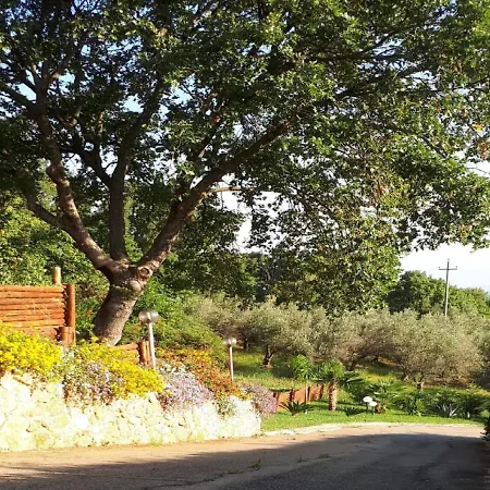 Inviting In With Furnished Garden And Terrace Amaroni